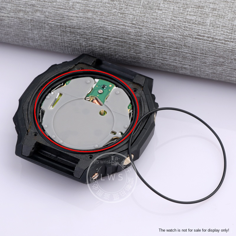 DW5600 gw m5610 Dust Ring Gask - огляд і ціна Casio Watch G-Shock Ga-2100